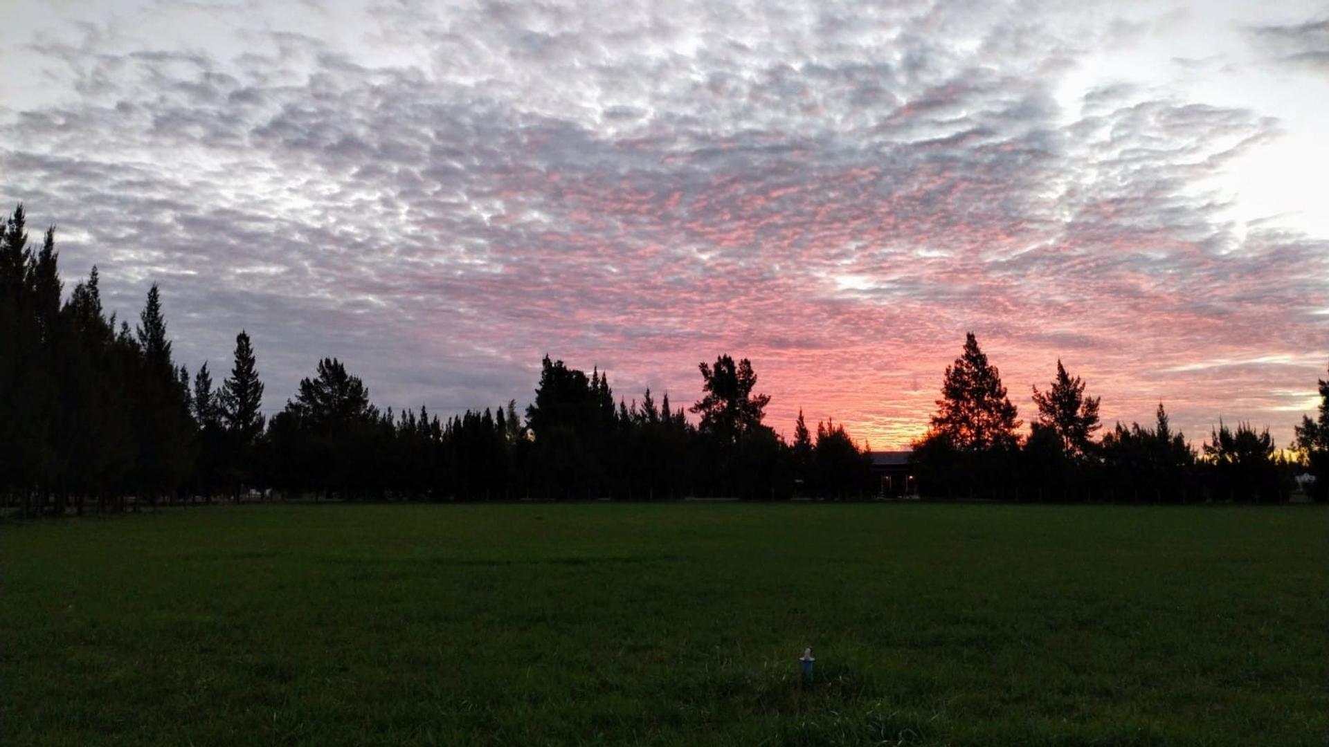 TERRENO  - Lote en venta en brandsen