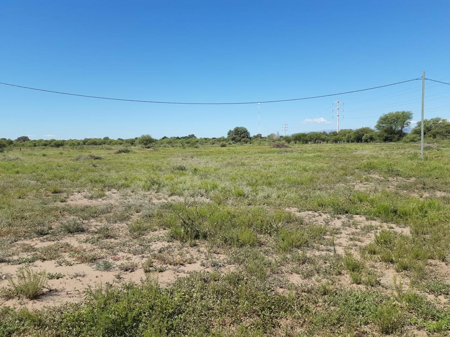Campo en venta Sobre Ruta 146 San Francisco, San Luis