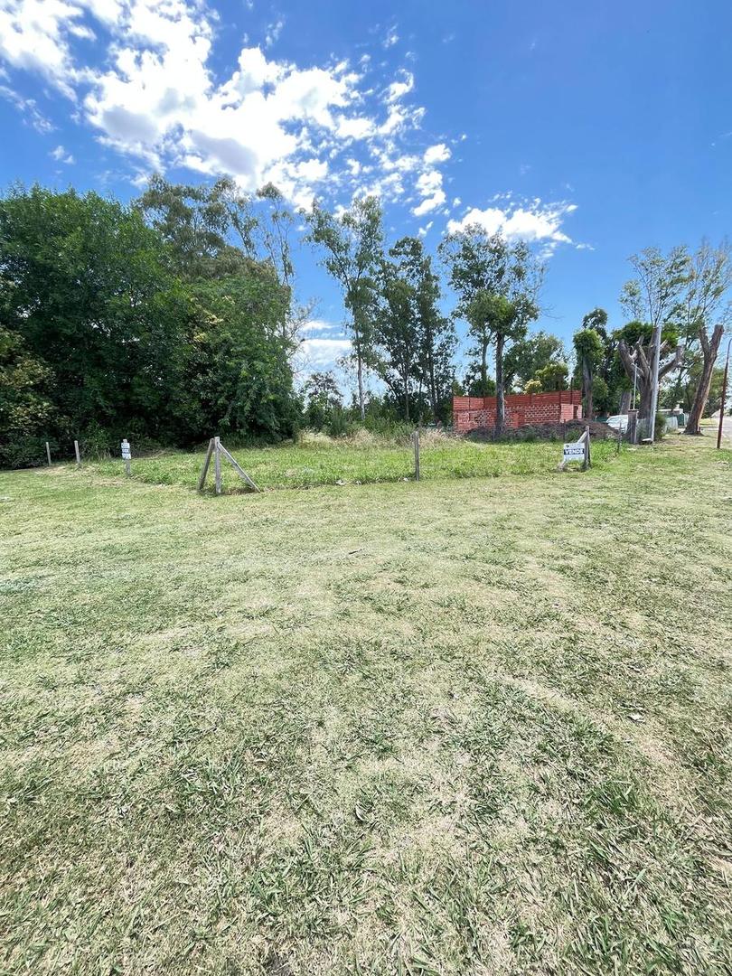 Terreno en Arroyo De La Cruz