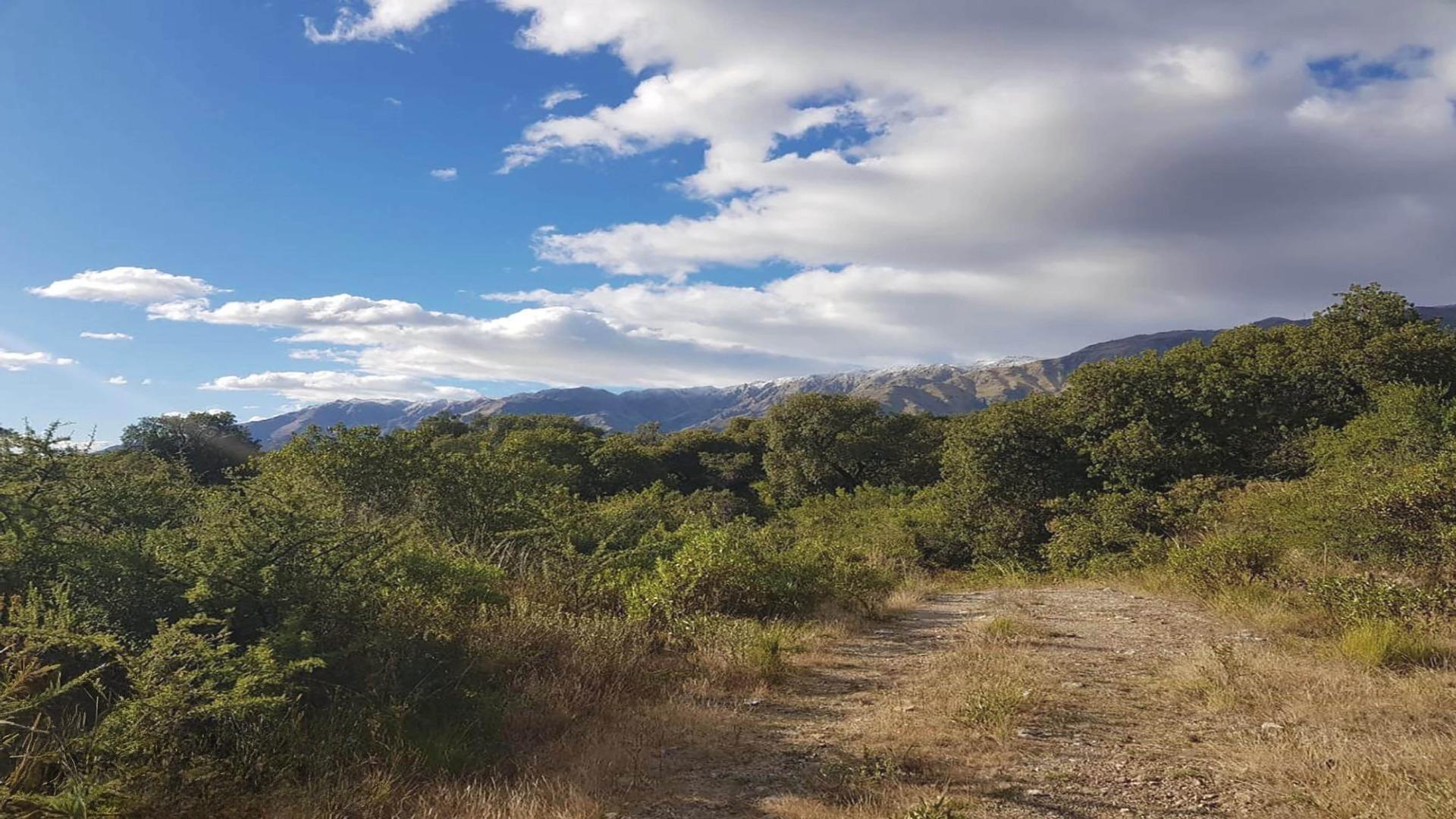 Lote en venta de 5142 m2 Carpinteria San Luis