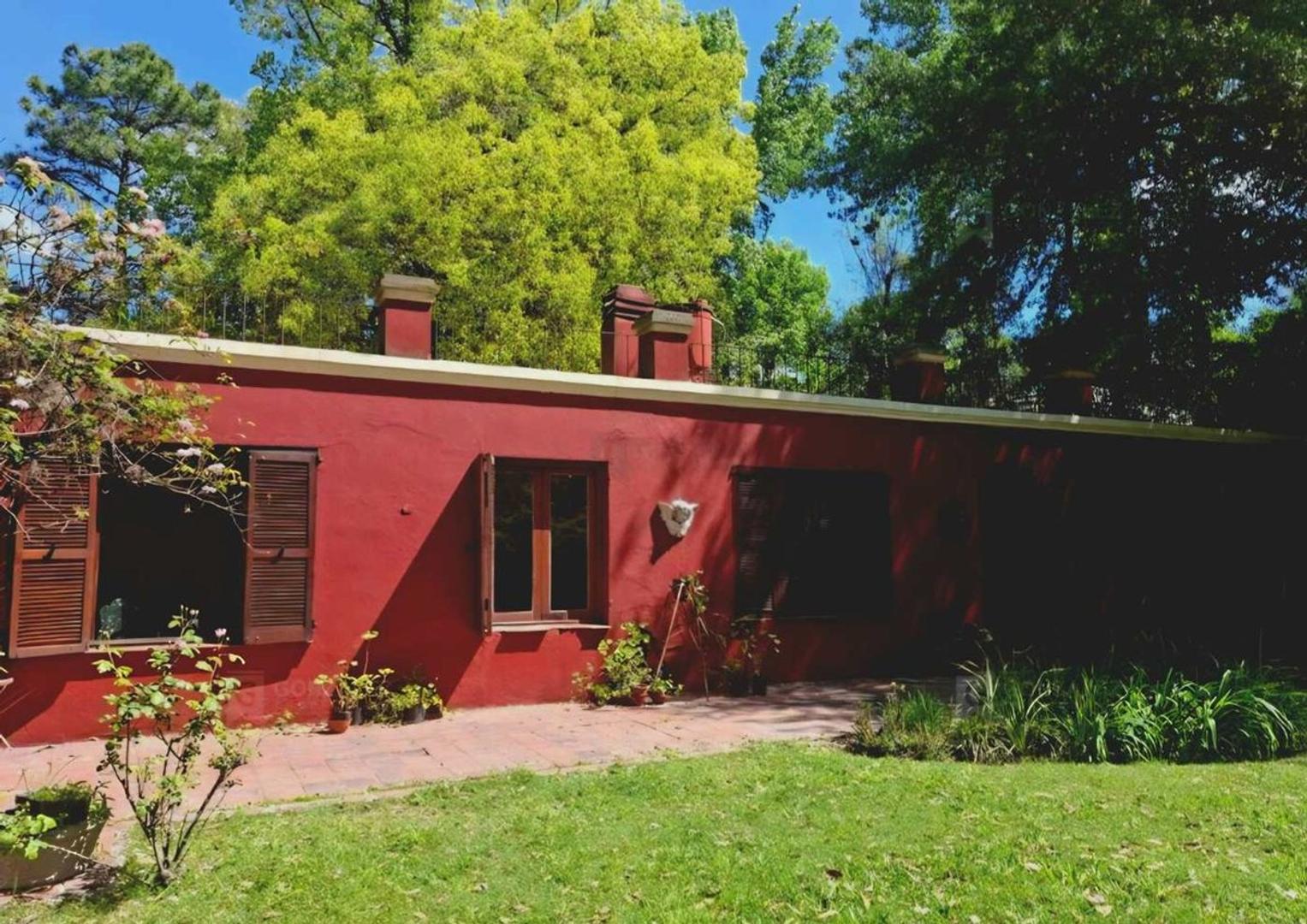 Juan Manuel Blanes 1900