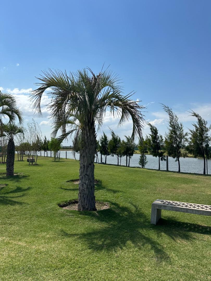 Terreno en Venta en Vida, USD 150.000