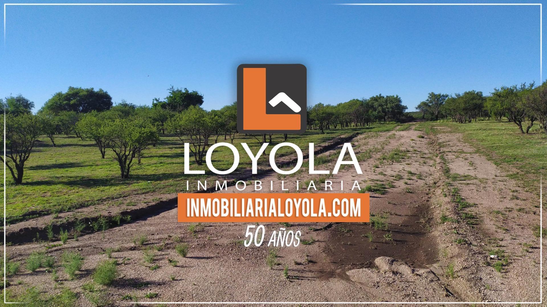 Lotes de 880 metros Cortaderas San Luis