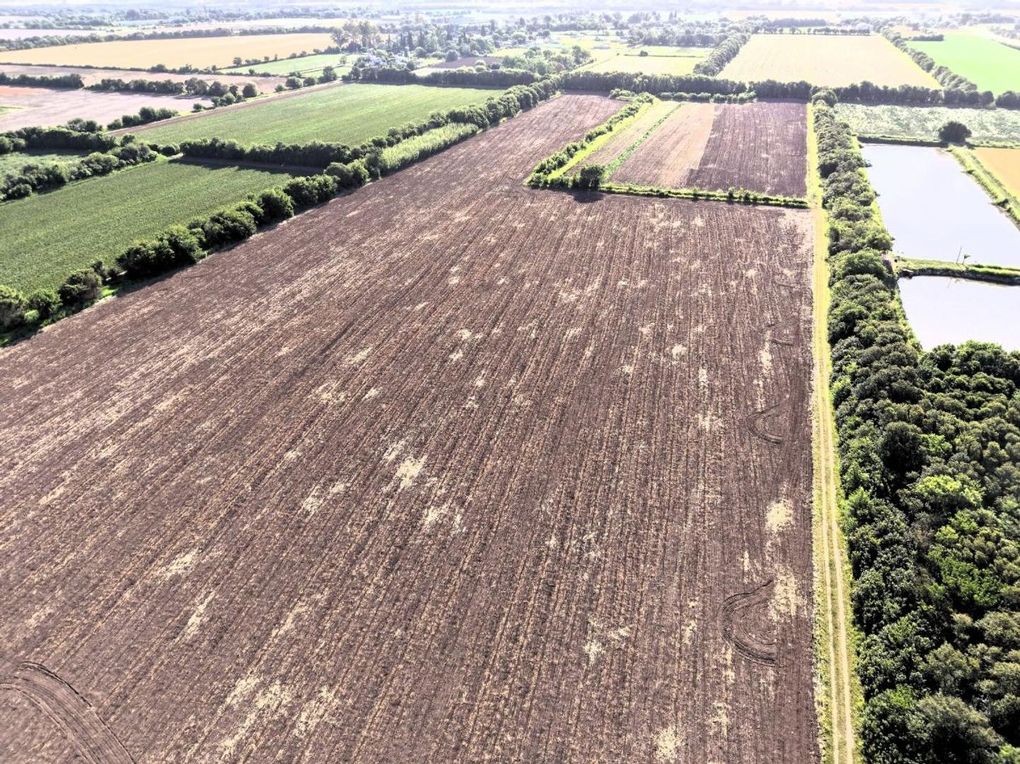 VENTA CAMPO 11 HAS CAMINO 60 CUADRAS KM 11 Y MEDIO