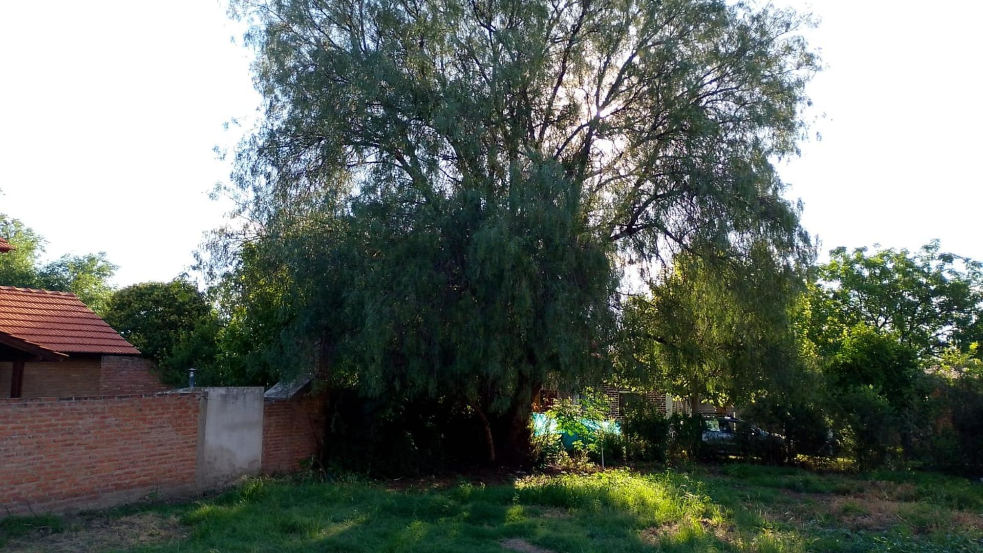 Lote céntrico a pasos de todo! sobre Juana Azurduy.