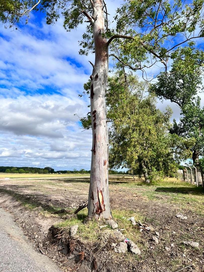 San Martin - Villa Adriana