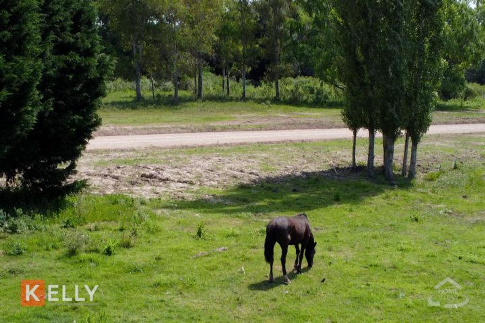 Venta de Lotes 100% Financiados en Cardales – Barrio Abiertos sin expensas "La Quebrada de Cardales"