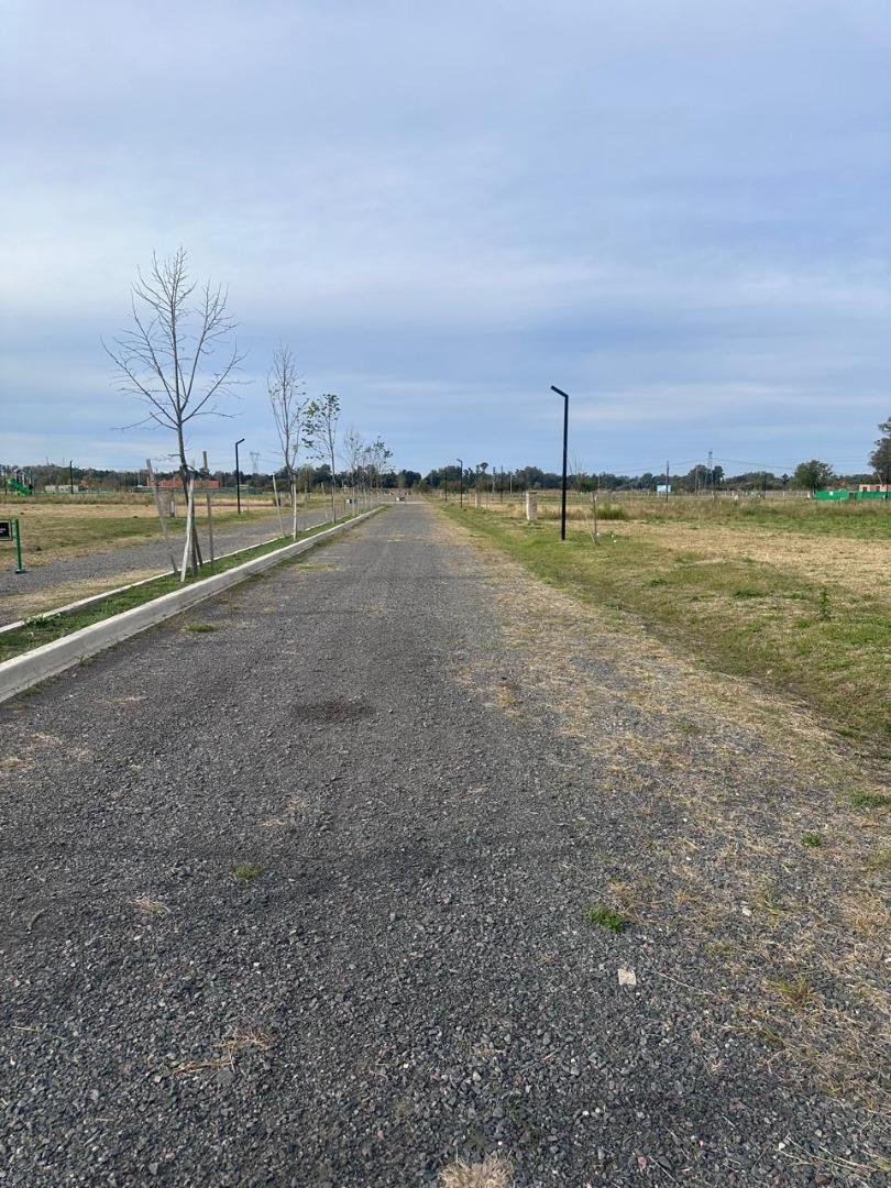 Terreno en Venta de 600,0 m2