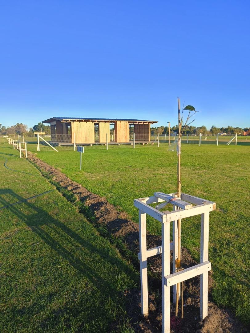 Lotes en Hermoso loteo dentro de la ciudad de San Vicente