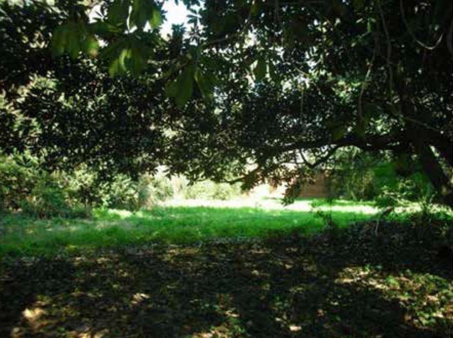 LOTE, Don Torcuato en ALQUILER de 2084m2, COMERCIAL