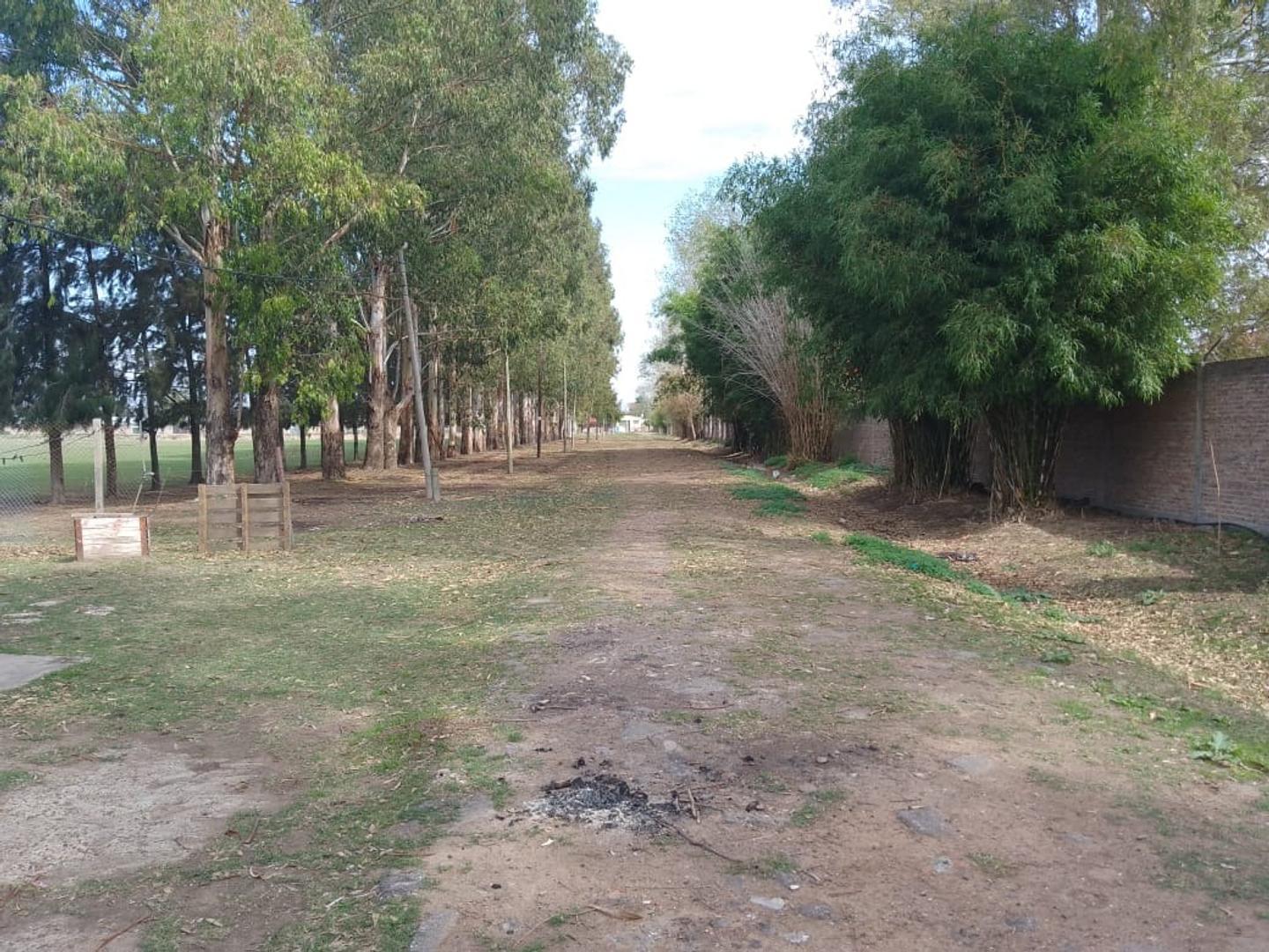 Av. Monteverde 2500