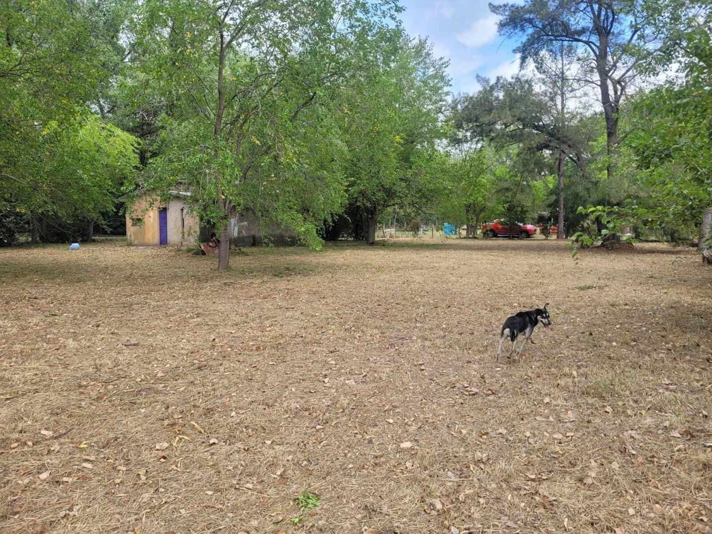 Los Tambos Ruta 25 Pilar km 100