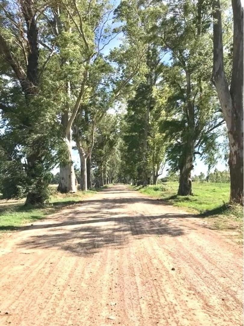 LOTES EN BARRIO CERRADO