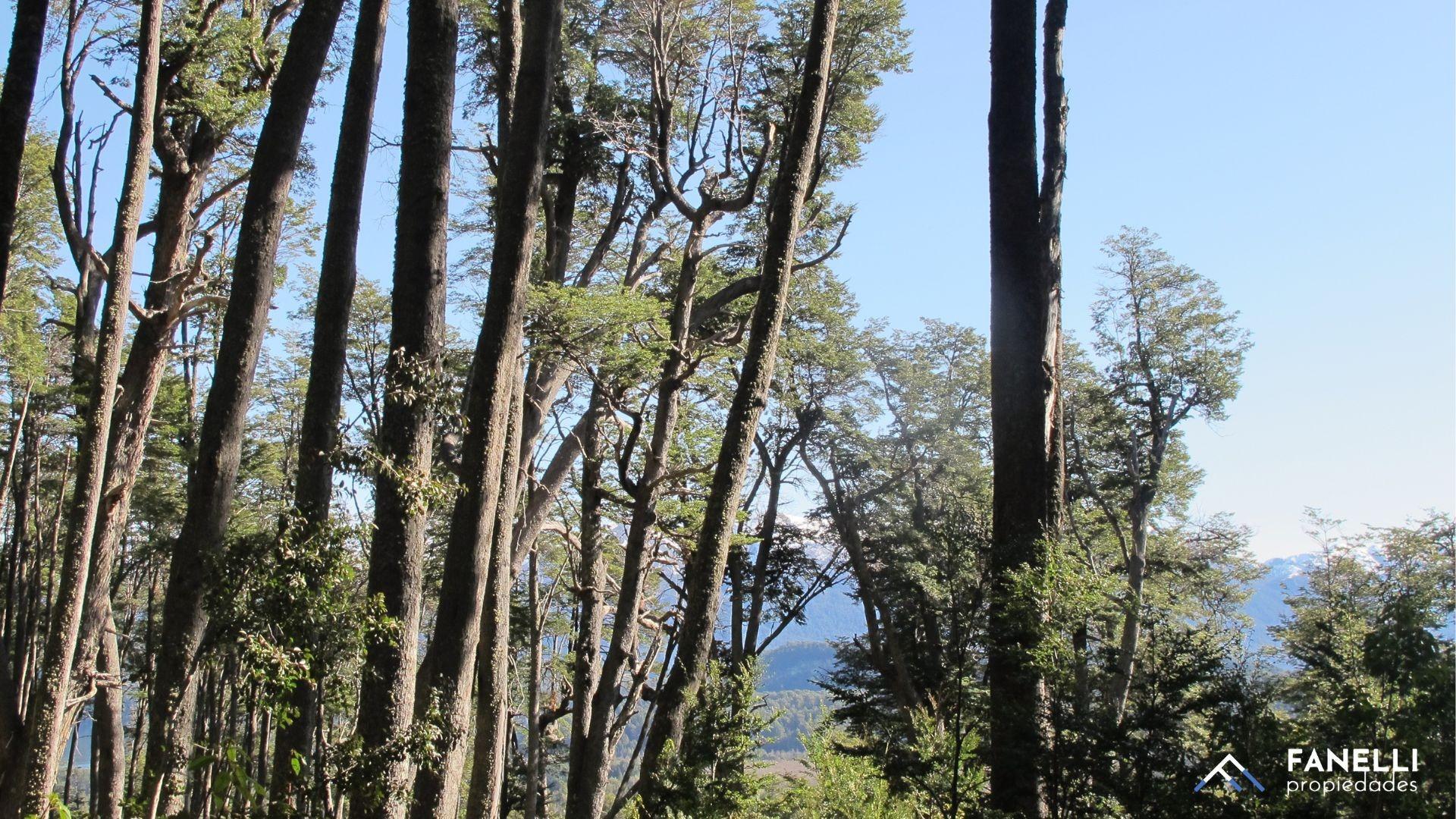 Lote con proyecto aprobado. Villa La Angostura (cod.228)