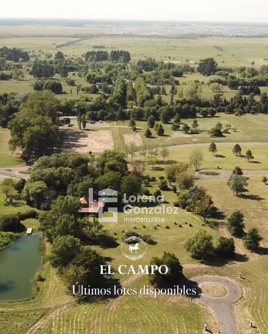EL CAMPO - CARDALES - CAMPANA