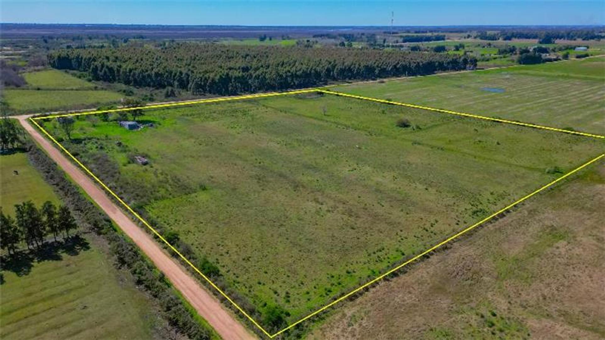 Campo en Venta de 5,10  ha