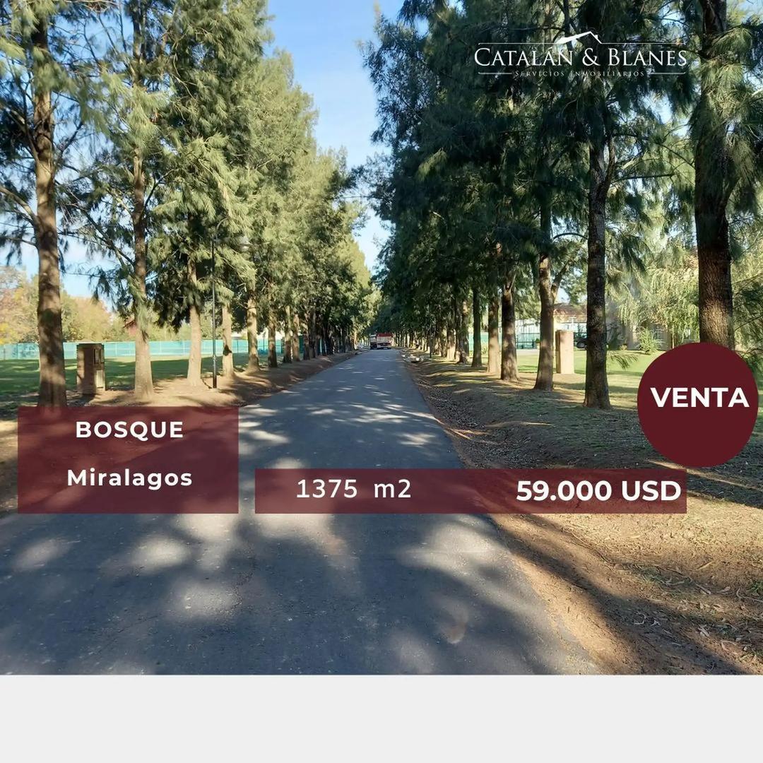 RUTA 2 - MIRALAGOS VENTA LOTE AL BOSQUE