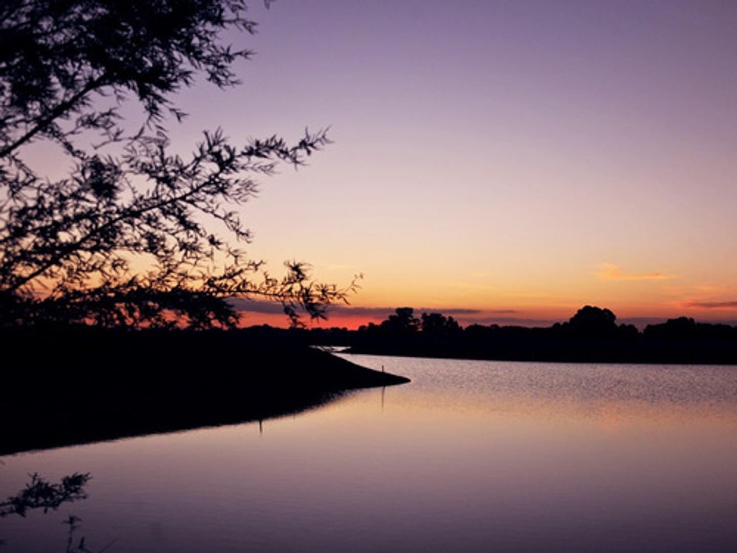 Terreno en Venta de 1241,0 m2