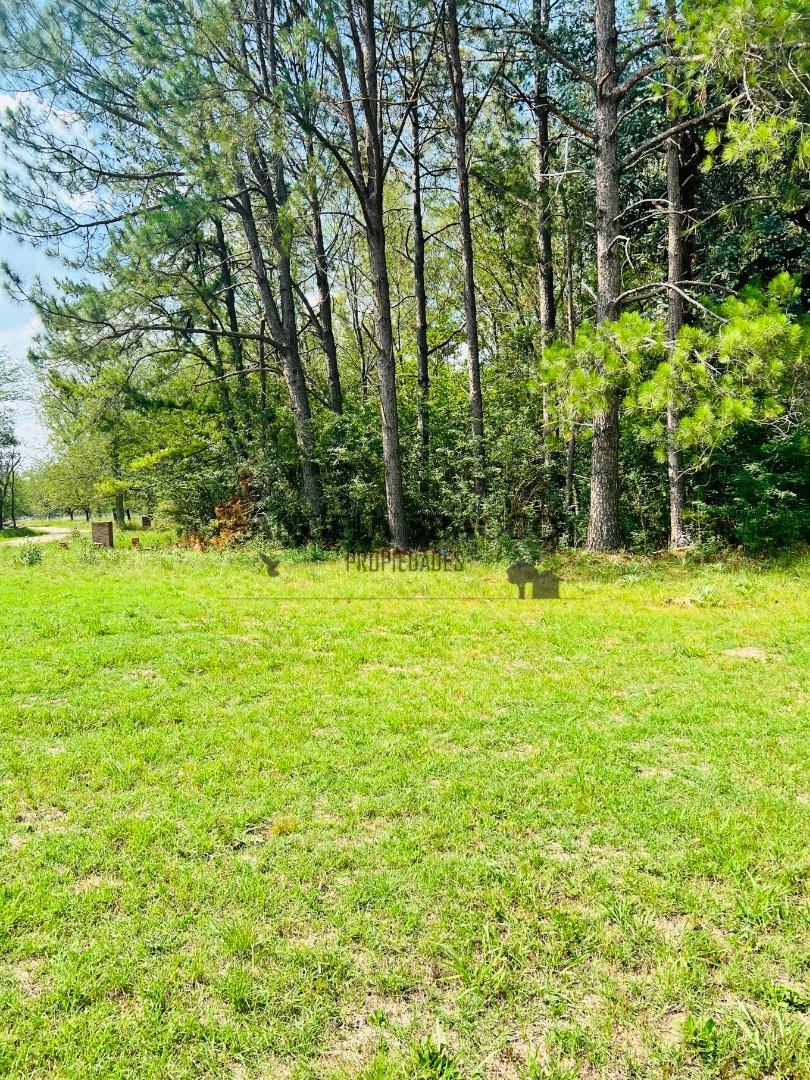 Rio Sauce Grande, Barrio Amarylis.