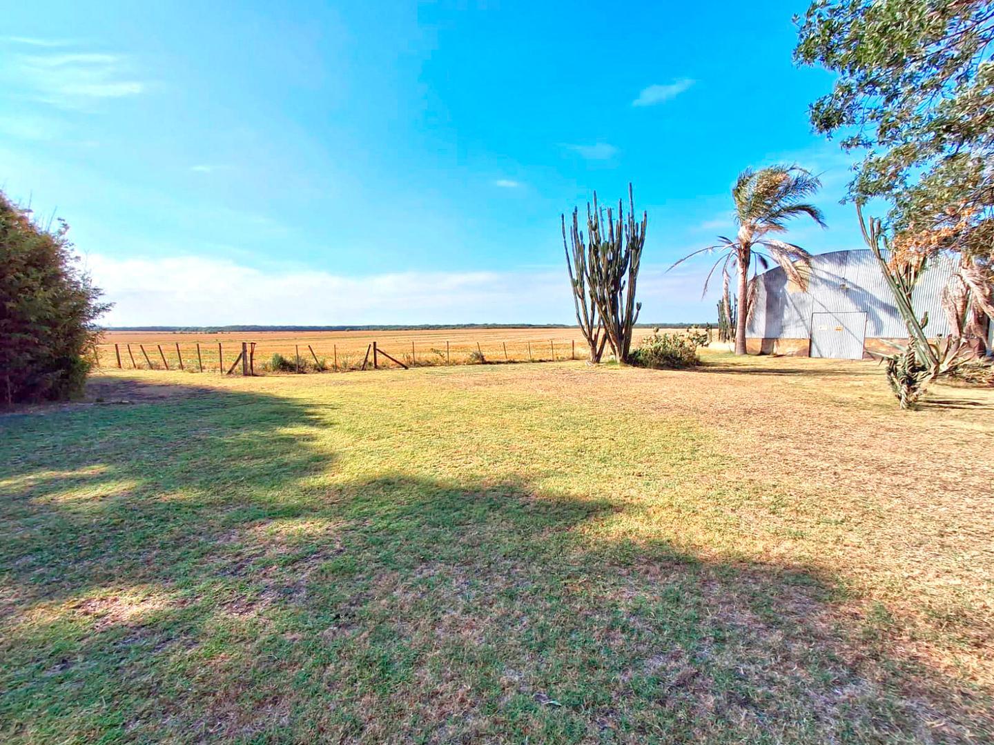 CAMPO EN ROJAS, 56 HA