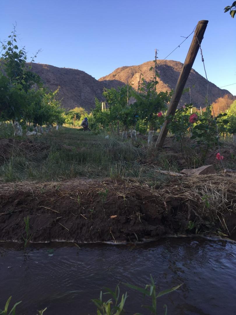 VENTA DE FINCA Y BODEGA EN CATAMARCA