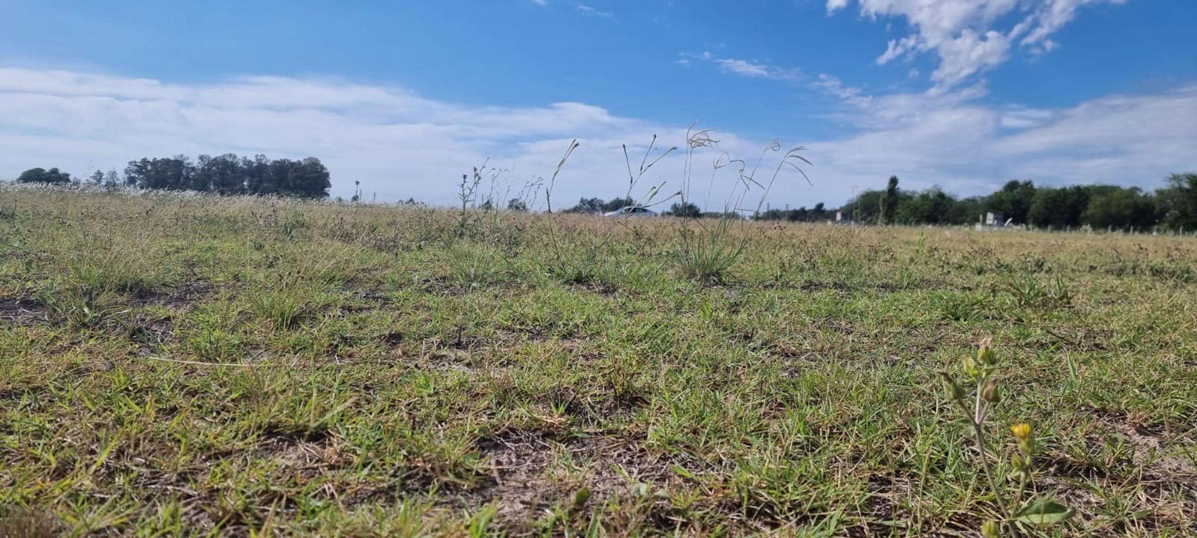 Terreno en Venta en Santa Ines, USD 40.000