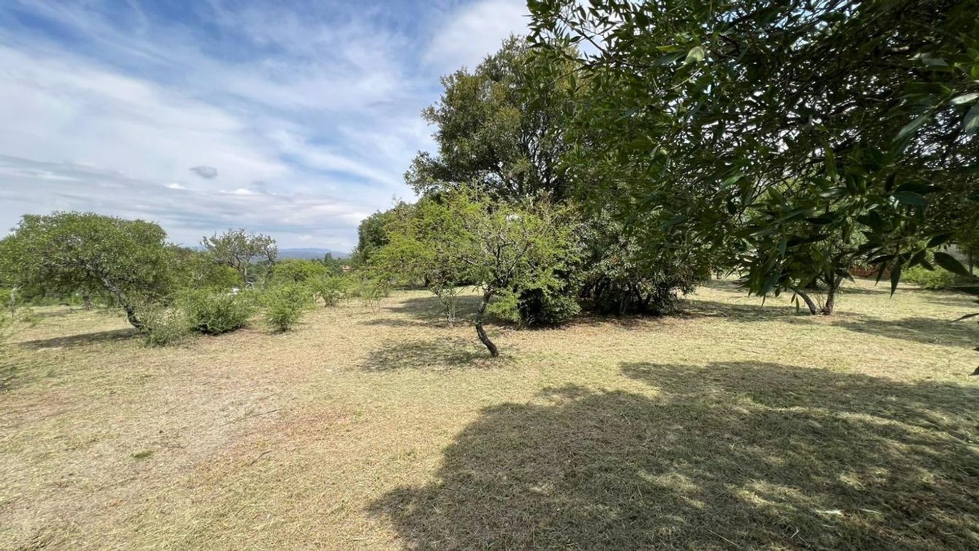 PASAJE PRIVADO S/N- LOTE 54-MZA 116