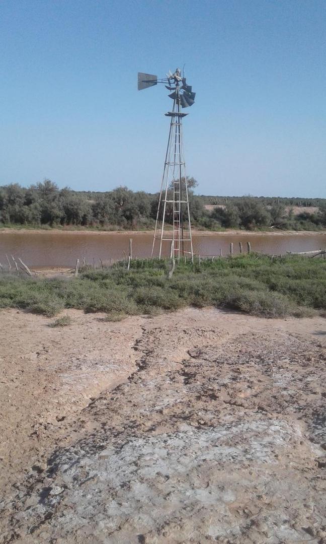 1000 ha - Herrera - Sgo. del Estero