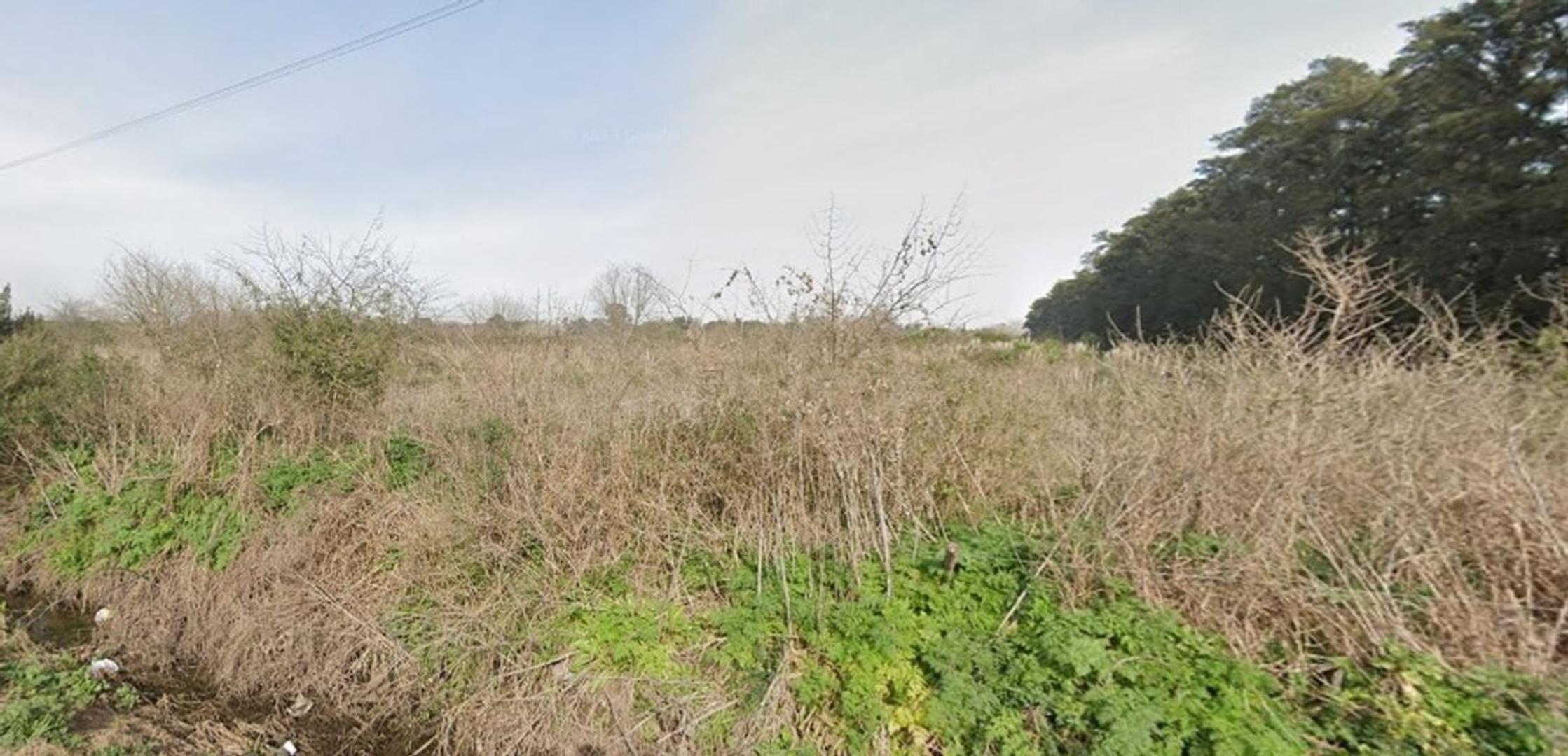 Terreno en Venta en Loma Verde, USD 8.100.000