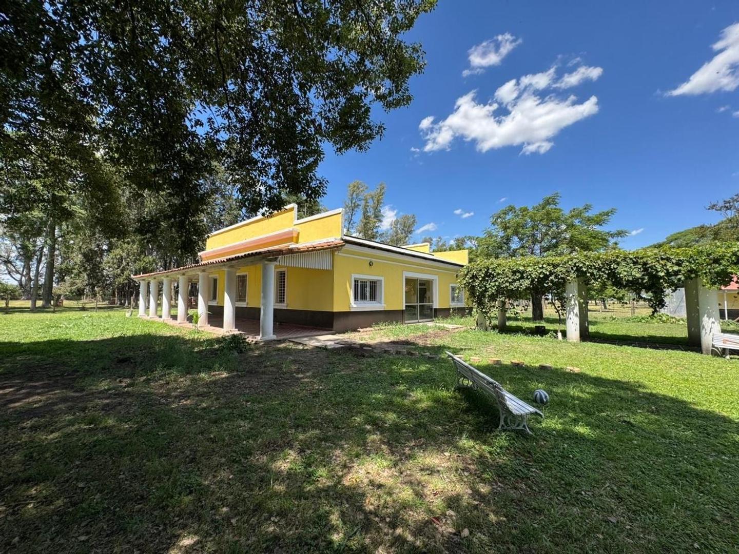 CAMPO EN ALQUILER, GRAL. RODRÍGUEZ