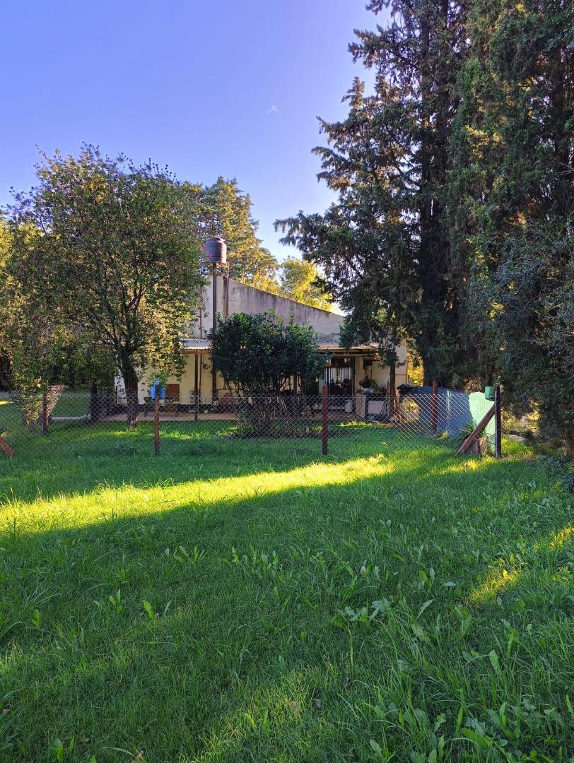 puerto de palos 1700