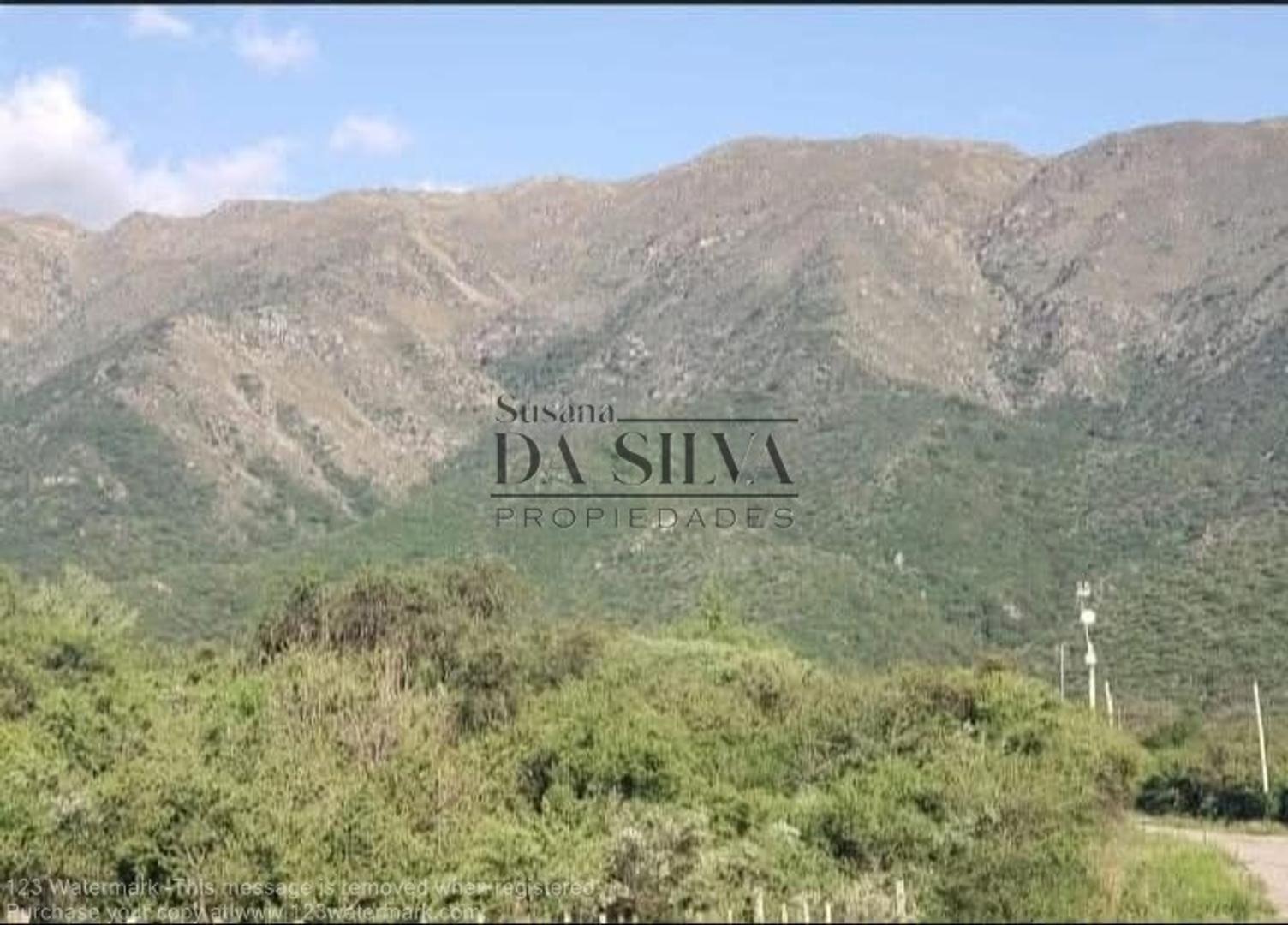 San Luis, Algarrobo Y Calle 21