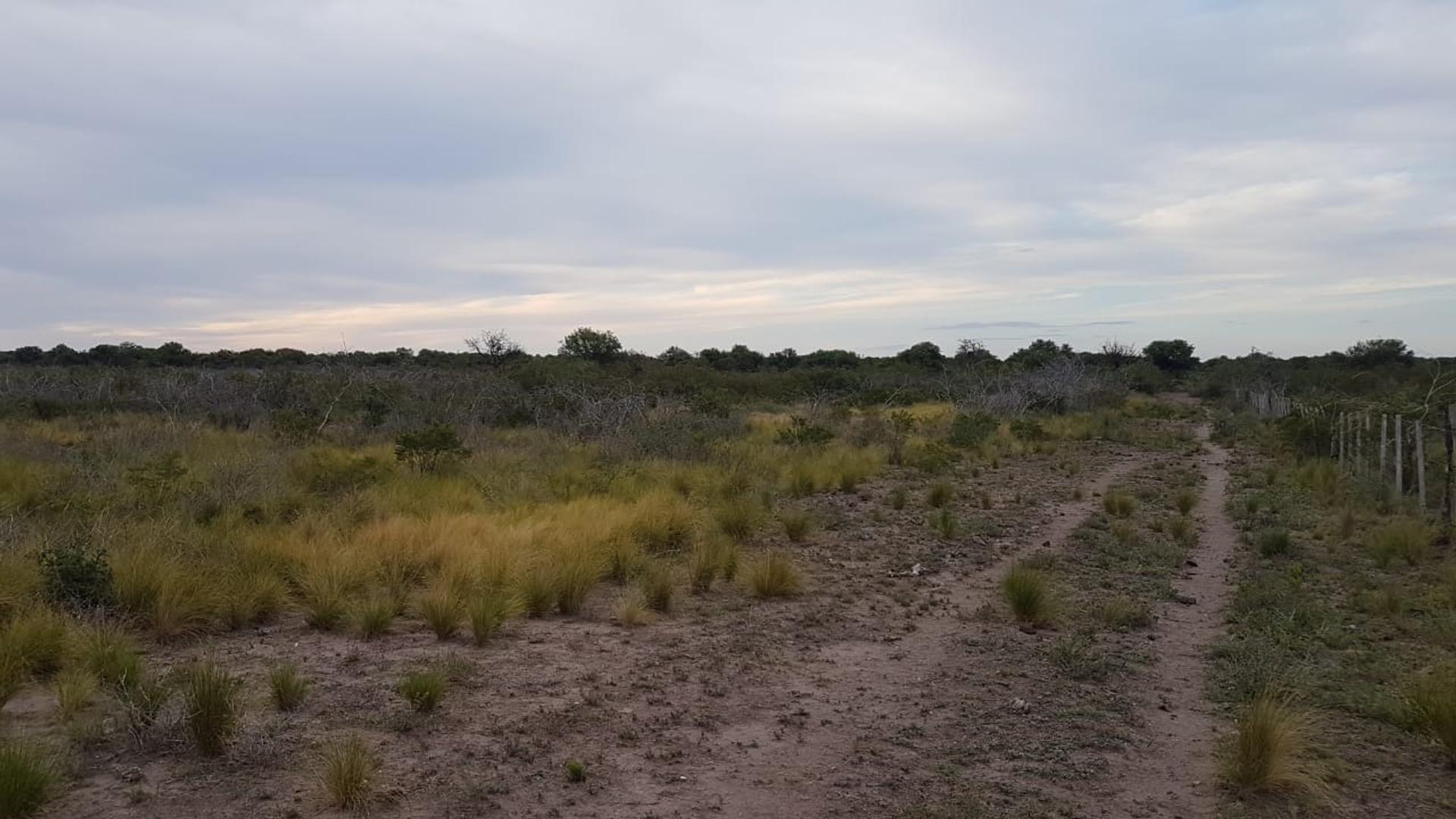 Campo mixto en venta zona Santa Rosa del Conlara, San Luis