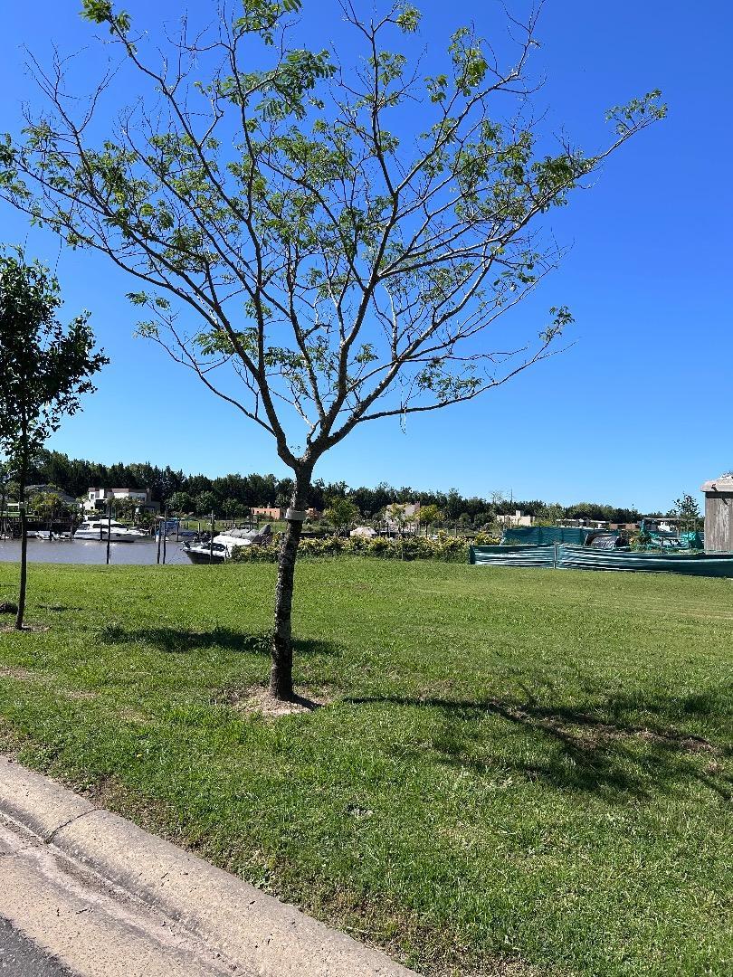 Terreno en Venta en San Juan, USD 250.000