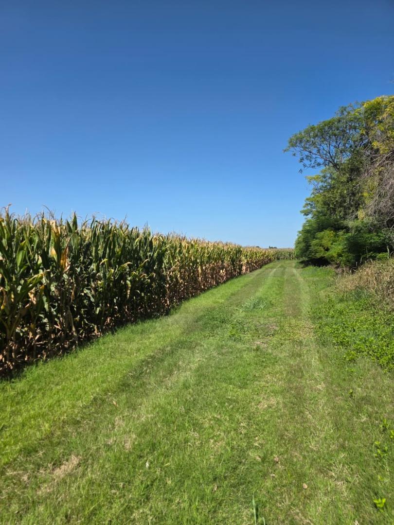 Venta campo agricola con casa y galpon 118 HAS CNO60 cuadras