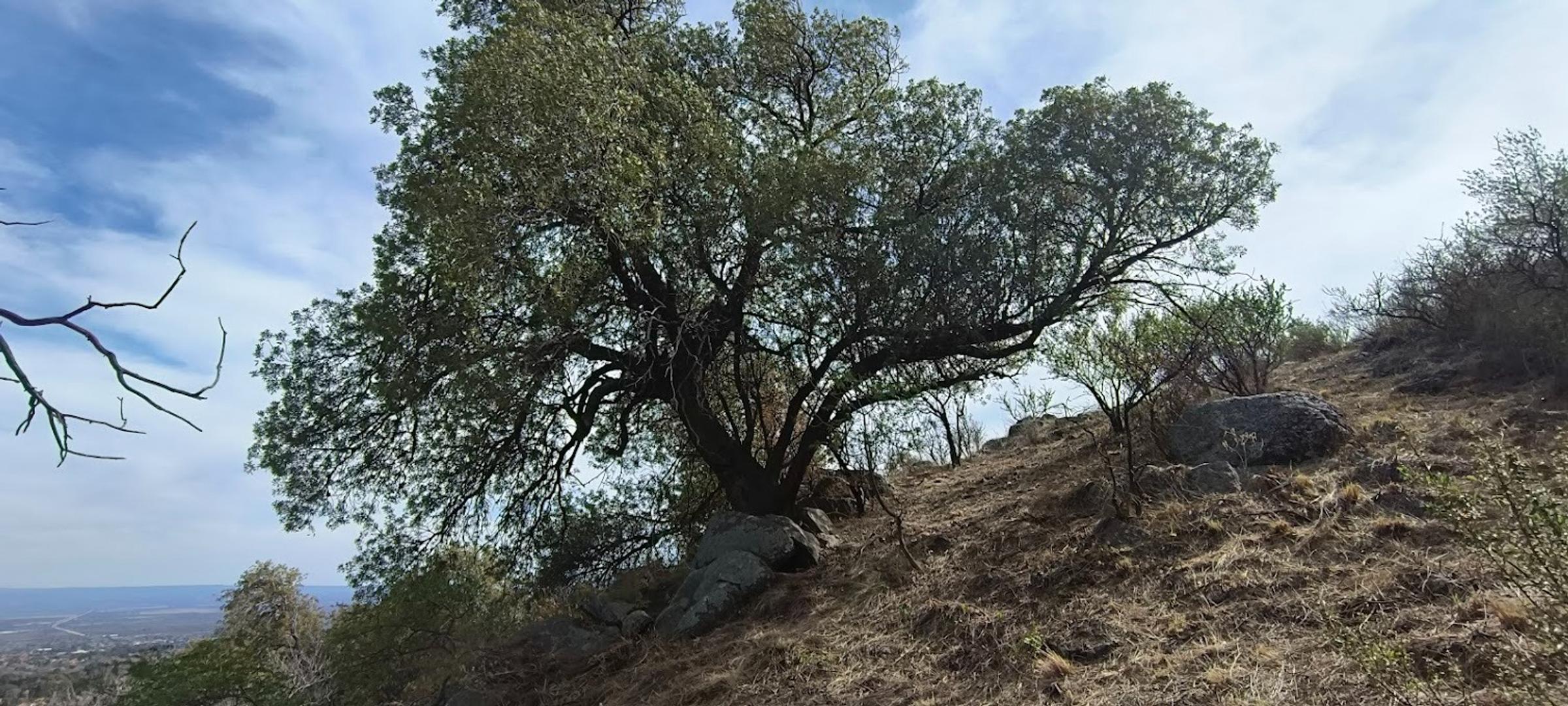 Terreno en Venta en Rincon Del Este, USD 30.000