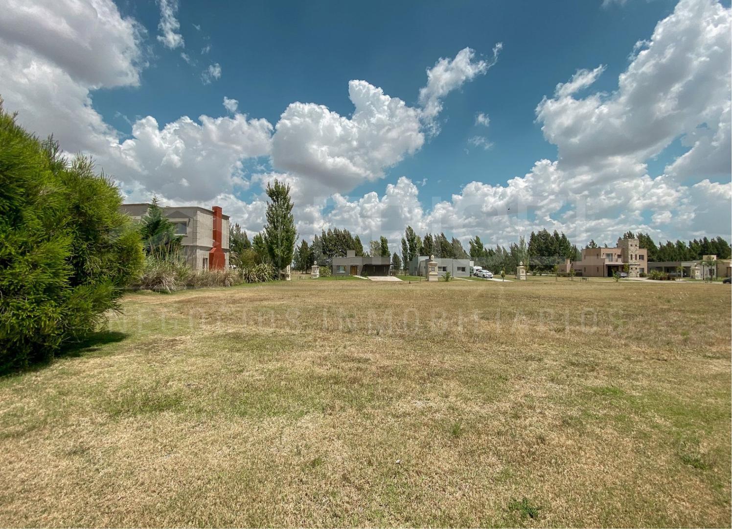 Terreno en Venta, FOT 50