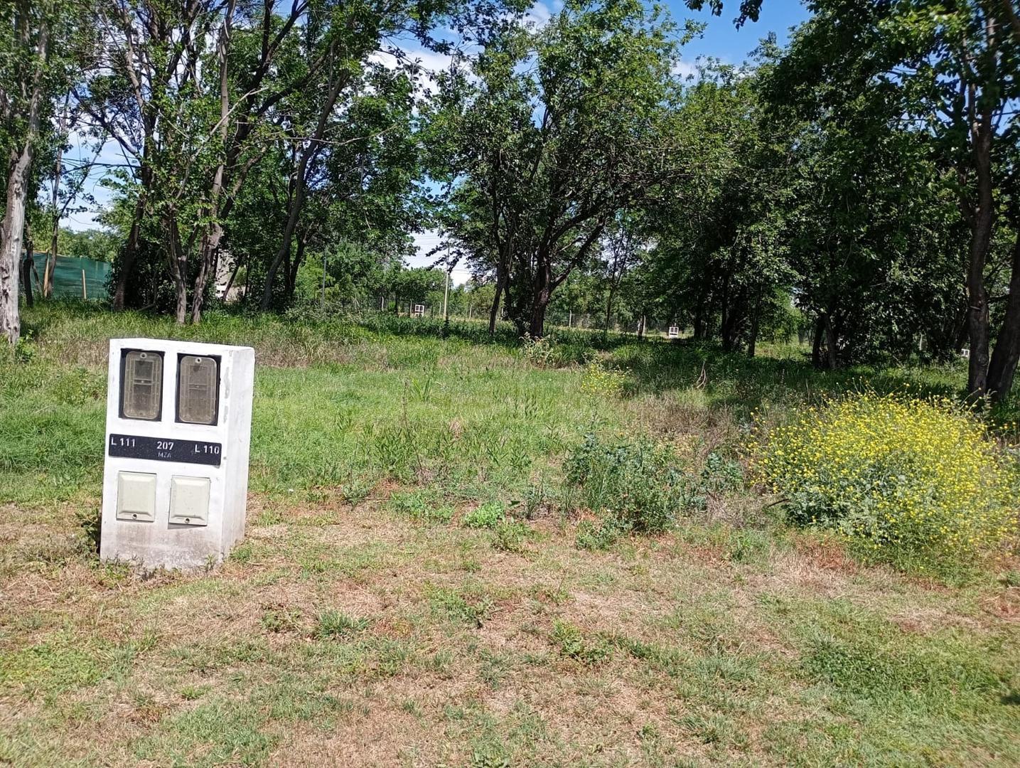 Terreno en Venta de 250,0 m2