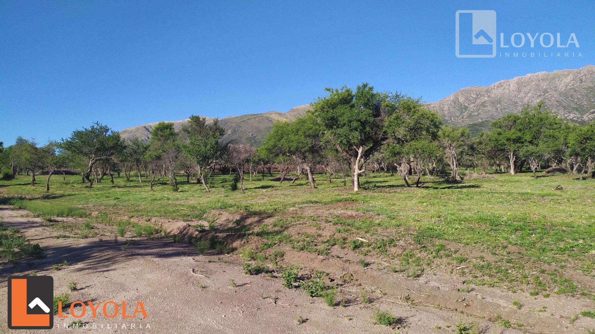 Terreno en Venta, FOT 30