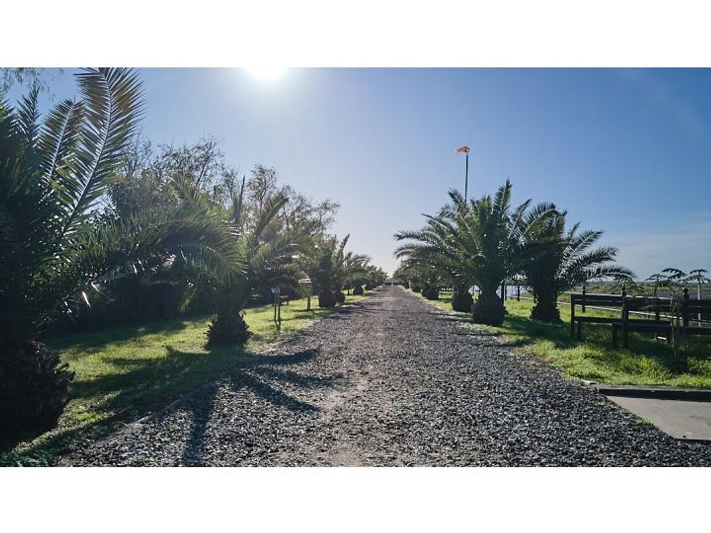 Terreno en Venta 35  mts Fondo