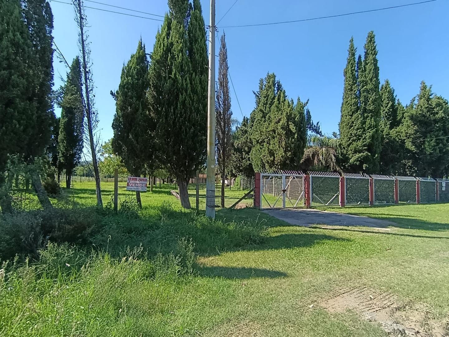 Salvador Cabrera 350