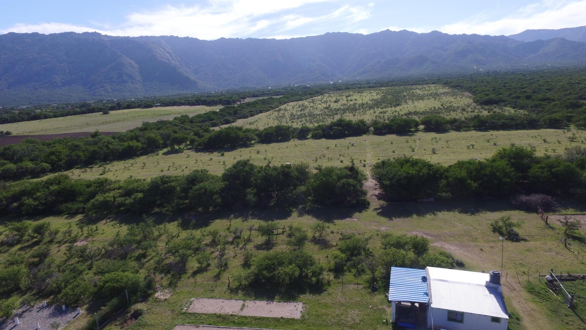 2 Casas en venta sobre Ruta N°1 Cortaderas San Luis