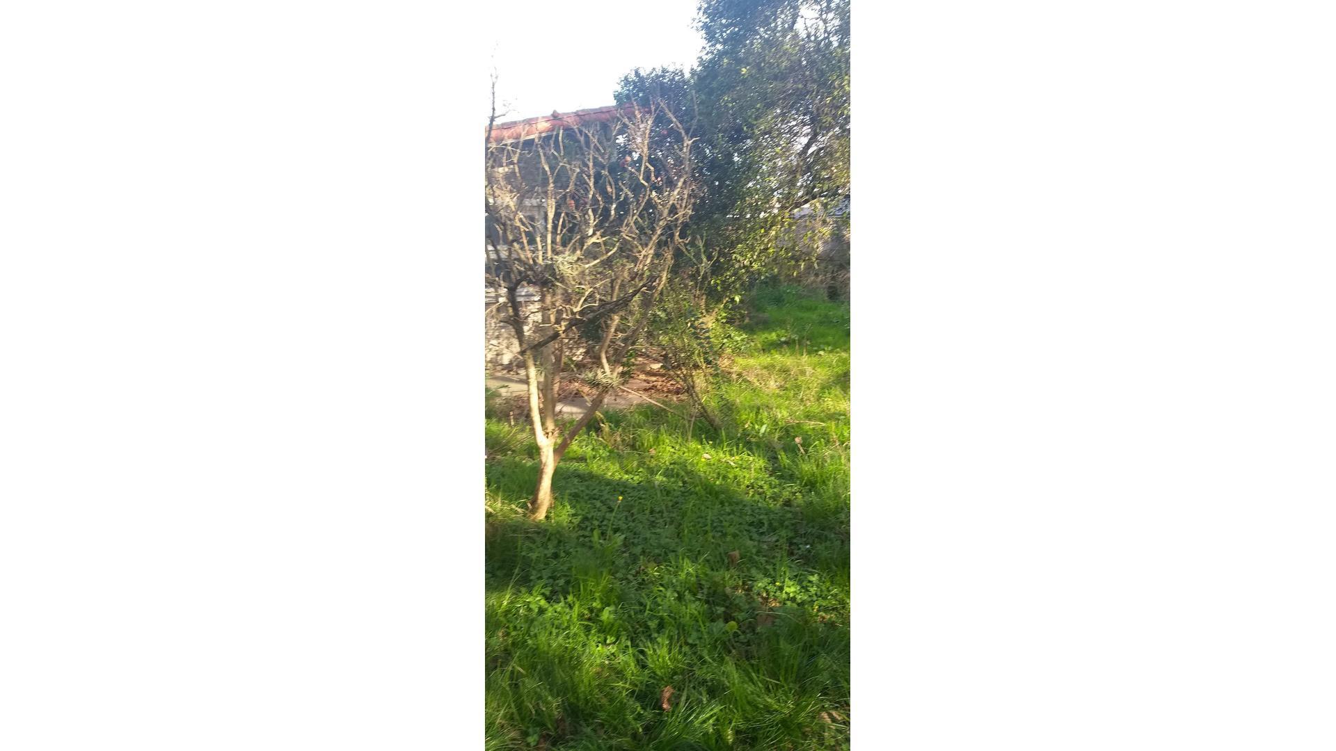 Terreno en Venta de 800,0 m2