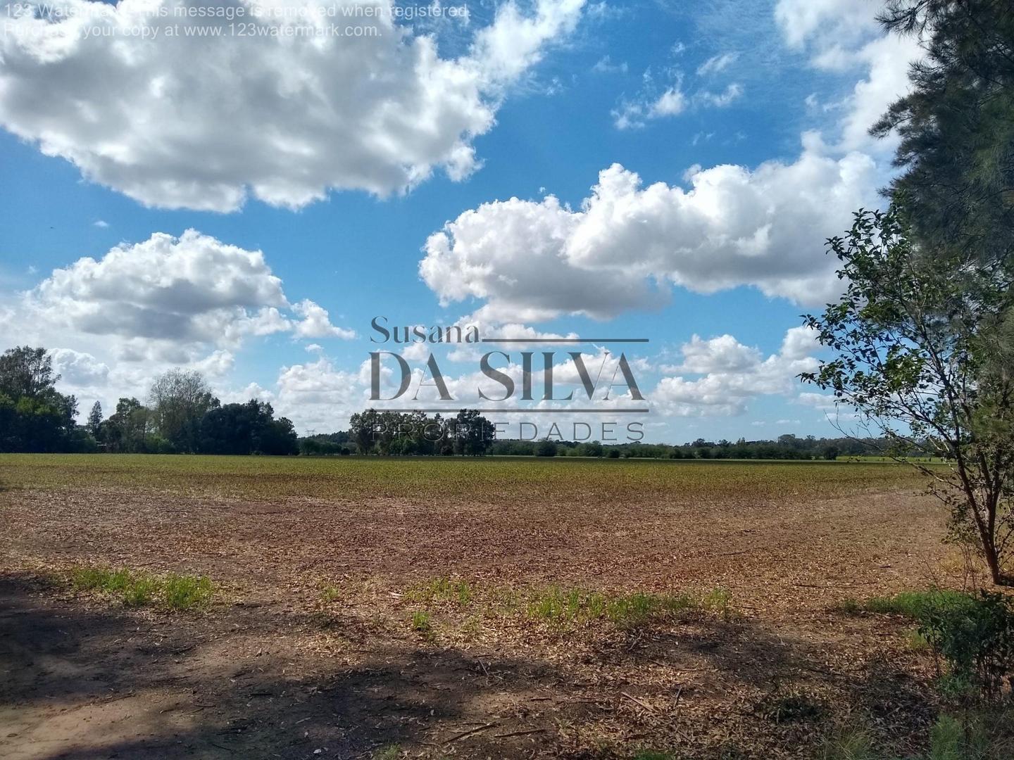 CAMPO 25 Ha en Marcos Paz. NUEVO VALOR DE VENTA