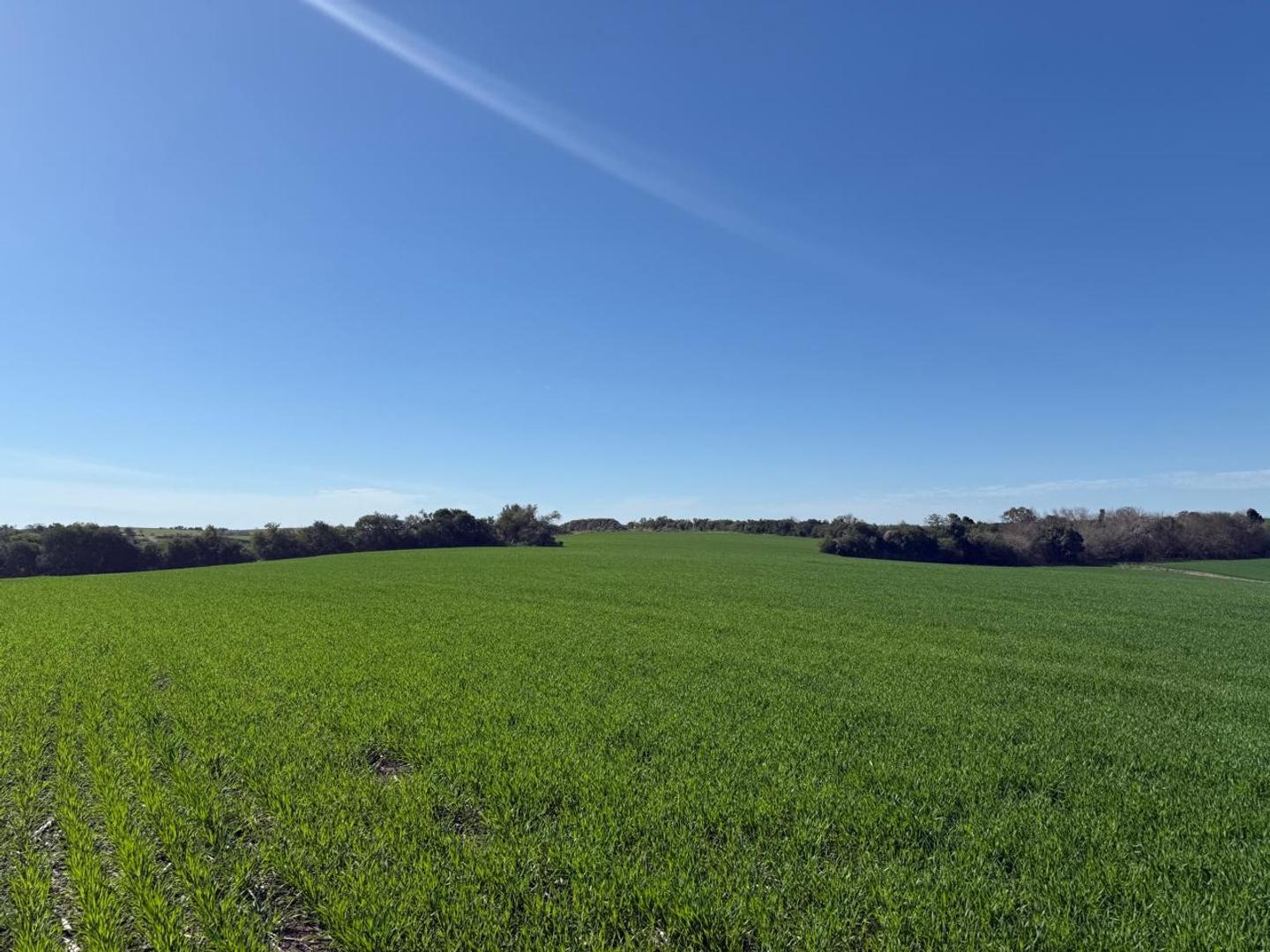 Diamante, Zona Rural