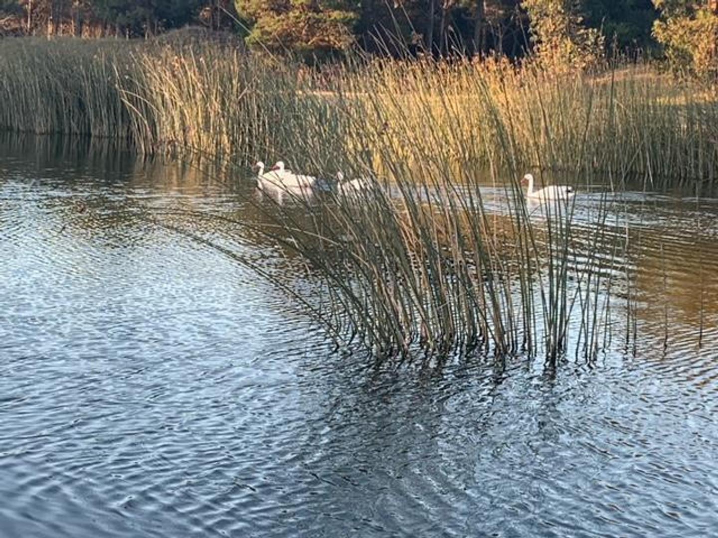 Terreno en Venta de 1007,0 m2