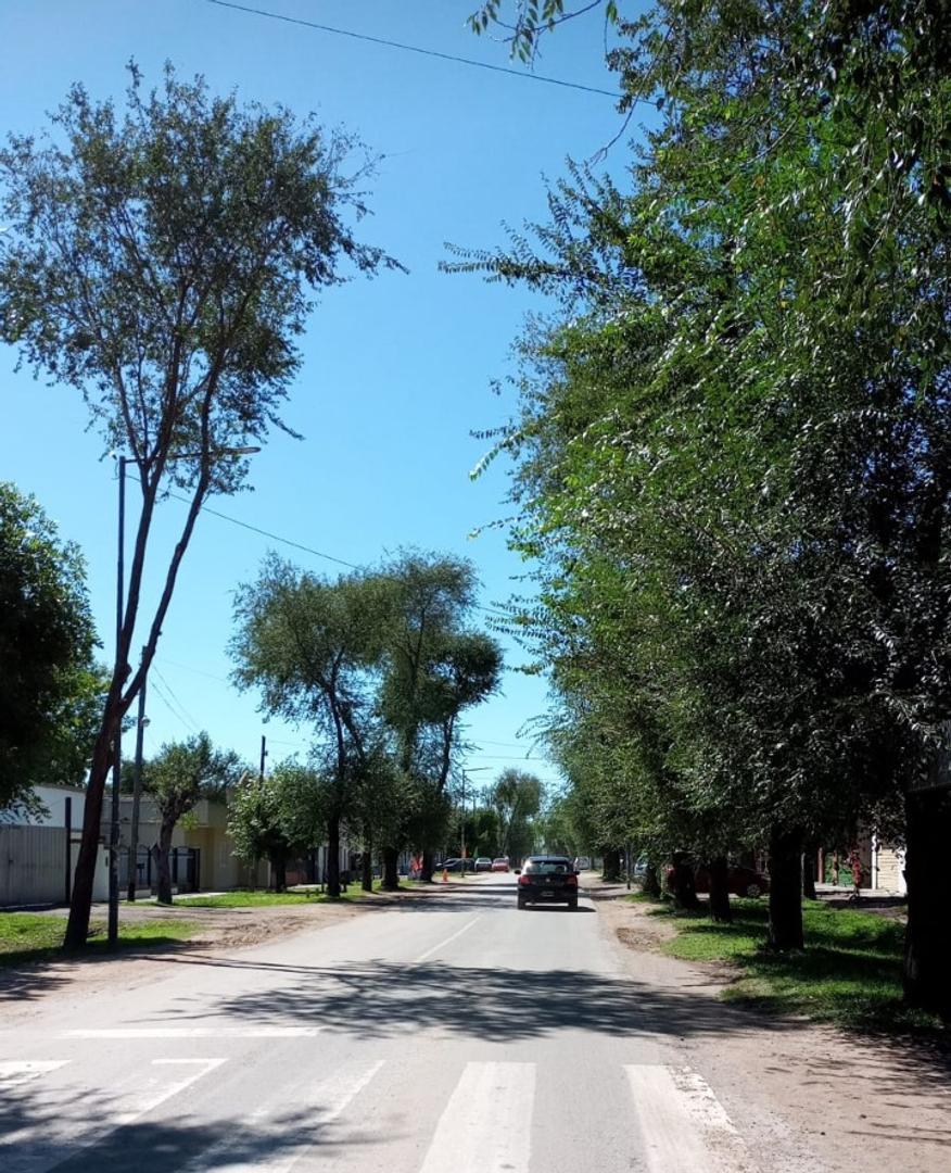 Mario Bravo Y Laprida Domselaar