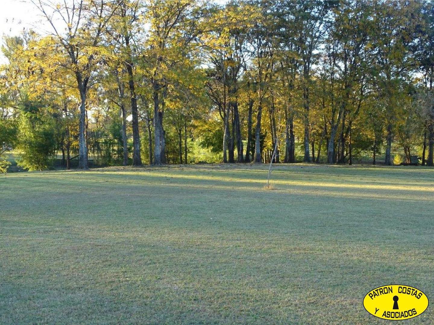 Terreno en Venta de 2000,0 m2