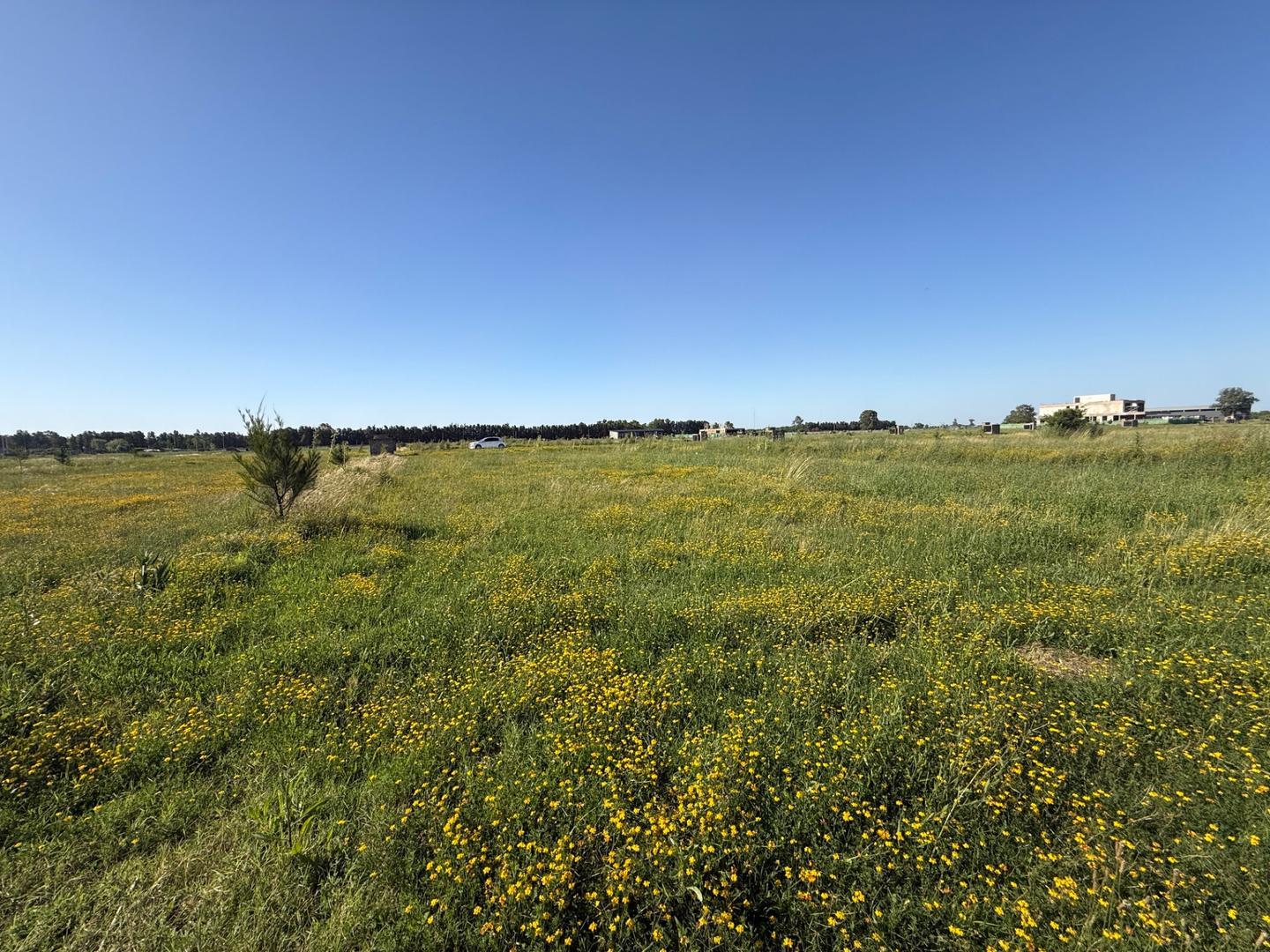 Venta Terreno interno Saint Thomas Chico