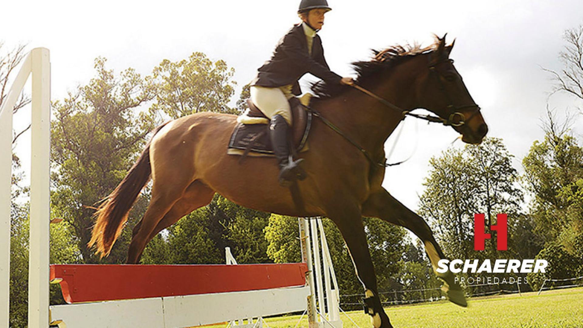 Terreno en Venta de 1083,0 m2